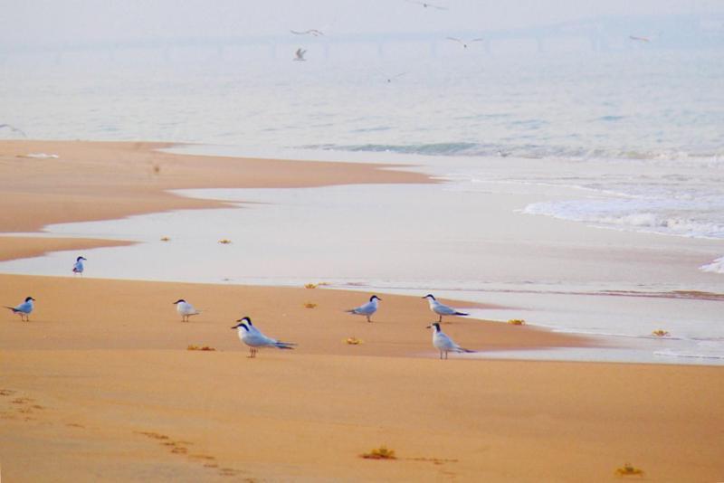 Khomba Beach House Alankuda Zewnętrze zdjęcie