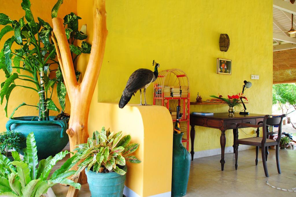 Khomba Beach House Alankuda Zewnętrze zdjęcie