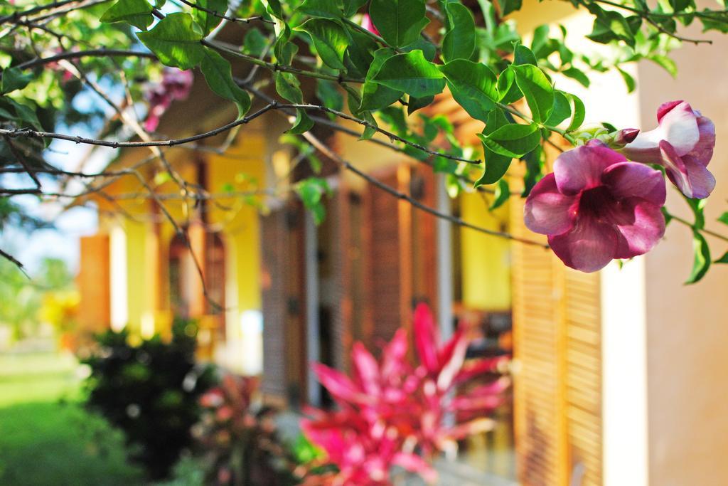 Khomba Beach House Alankuda Zewnętrze zdjęcie