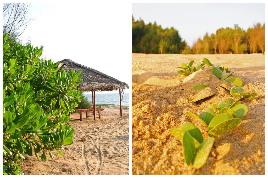 Khomba Beach House Alankuda Zewnętrze zdjęcie