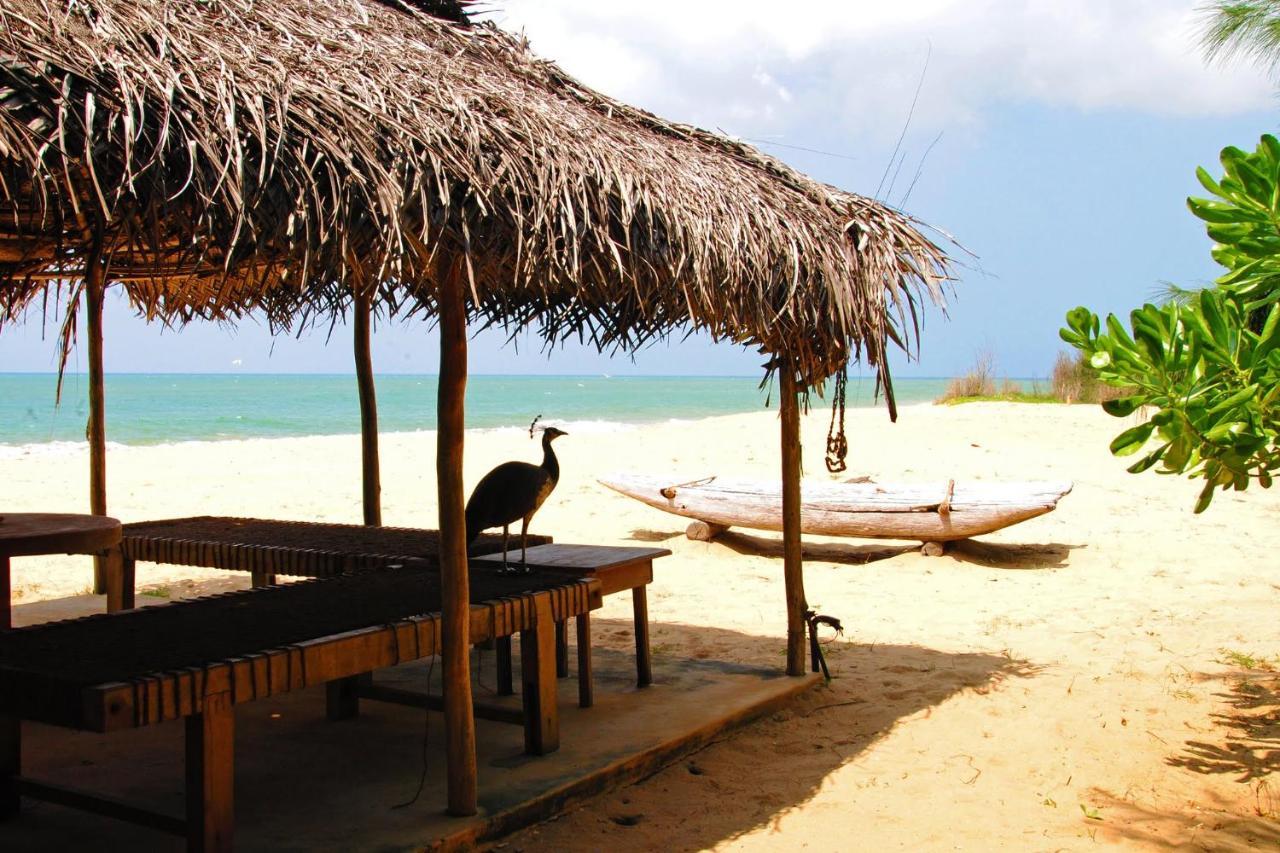 Khomba Beach House Alankuda Zewnętrze zdjęcie